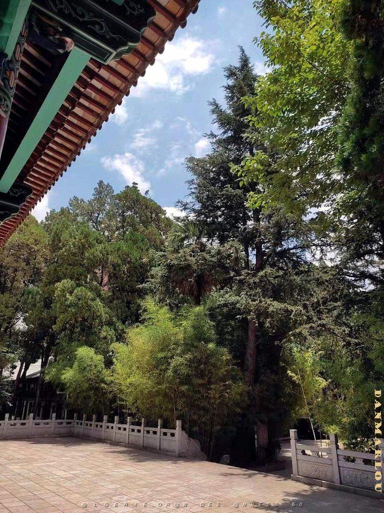 Kunming - Universite du Yunnan (29).jpg